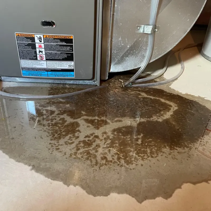 Appliance Leak Cleanup in Port Ludlow, WA