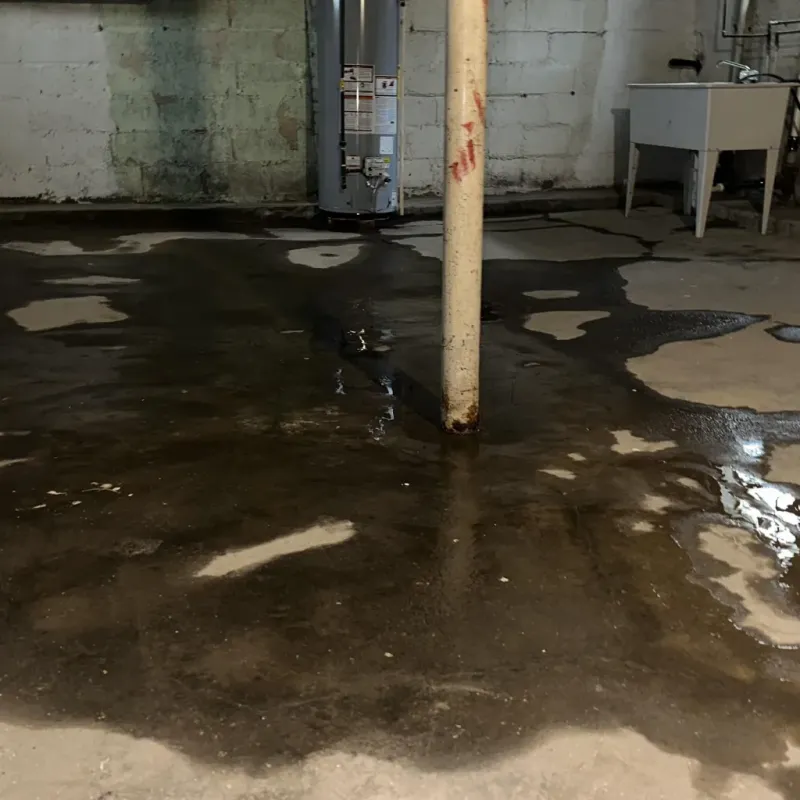 Emergency Water Extraction And Removal in Port Ludlow, WA